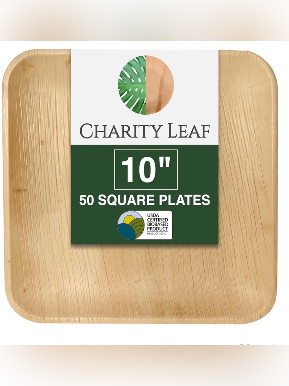 Palm Leaf Plates 50 Count 10x10 Compostable Bridal Shower Party Eco